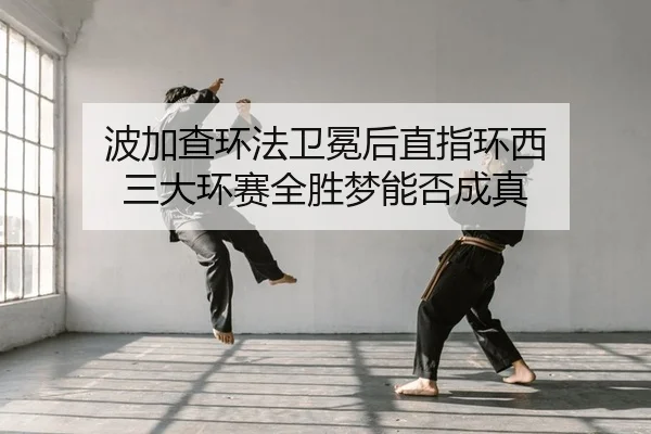 bo-jia-cha-huan-fa-wei-mian-hou-zhi-zhi-huan-xi-san-da-huan-sai-quan-sheng-meng-neng-fou-cheng-zhen-2-889.jpg